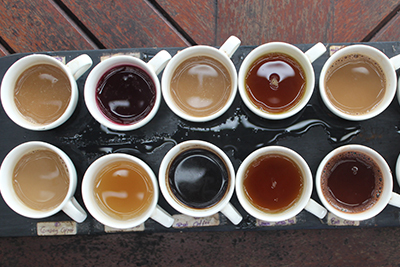 Coffee Tasting AKA Cupping